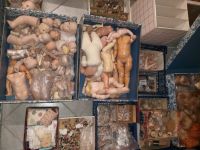 Sammlung Porzellanköpfe und Zubehör - ideal für Puppenwerkstatt München - Allach-Untermenzing Vorschau