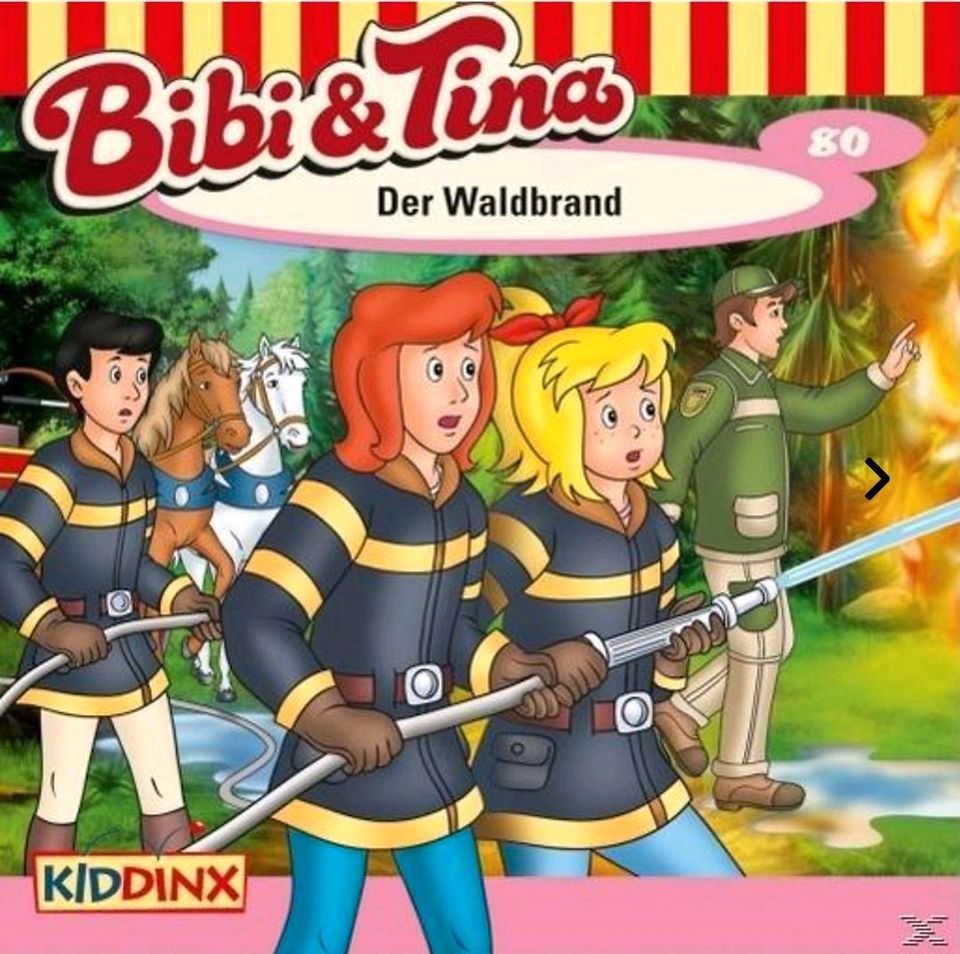 Bibi und Tina - Folge 80: Der Waldbrand - (CD) in Brand-Erbisdorf