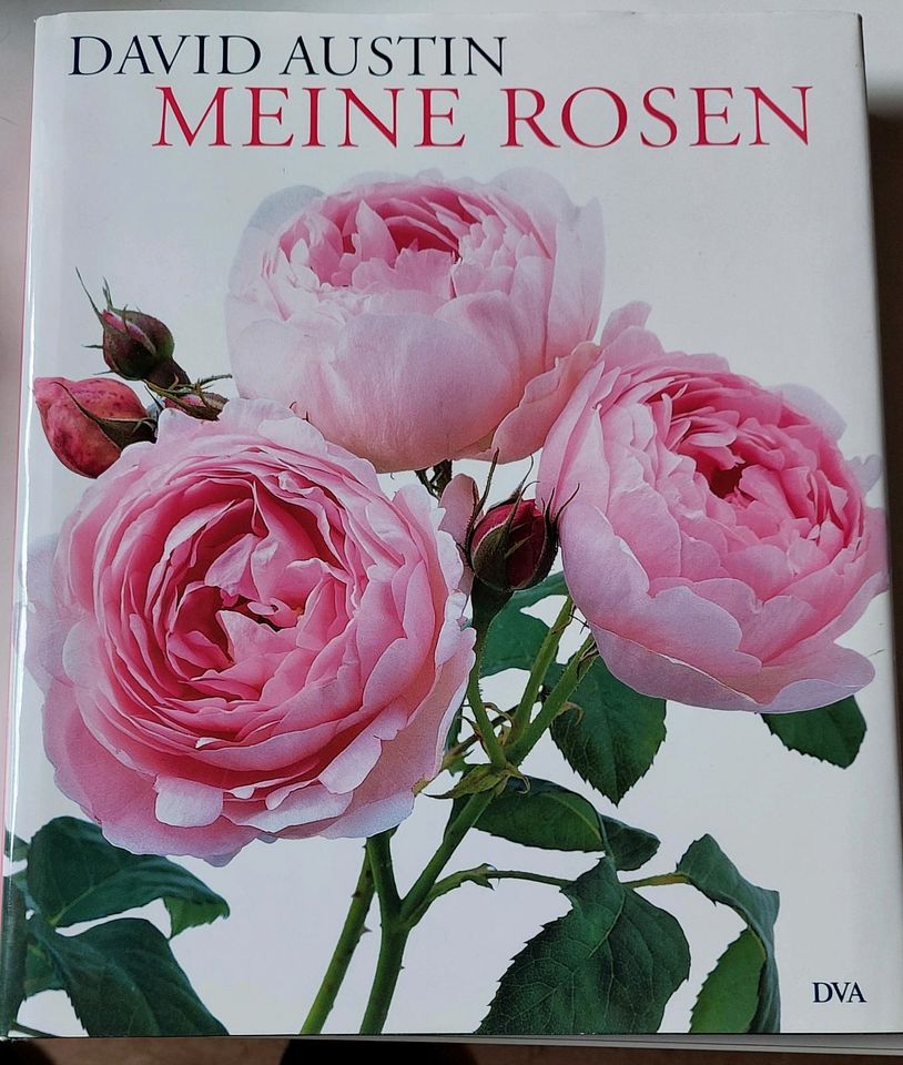 David Austin meine Rosen in Dorfen