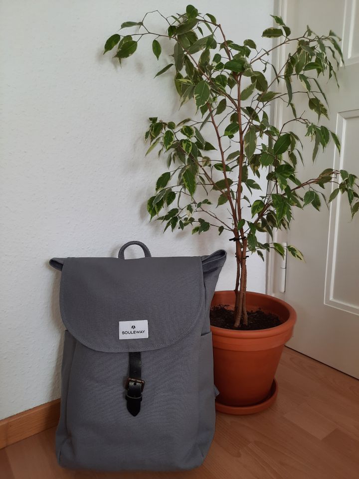 Souleway Classic Backpack L Dust Grey in Fellbach