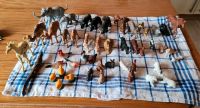 49 Zoo- und Haustiere Art Schleich Sachsen-Anhalt - Seegebiet Mansfelder Land Vorschau