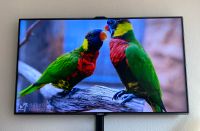 Samsung,Fernseher,Smart tv,46 Zollt Hessen - Langen (Hessen) Vorschau