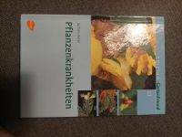 Pflanzenkrankheiten Buch Rheinland-Pfalz - Koblenz Vorschau