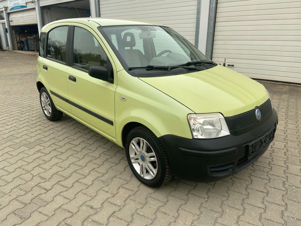 Fiat Panda 1.1 Active TÜV NEU in Friedrichshafen