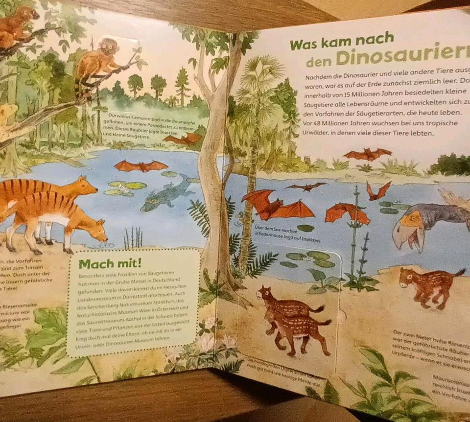Was ist was junior Dinosaurier und Tiere der Urzeit Neuwertig in Hünxe