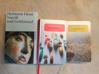 3 Bücher von Hermann Hesse Brandenburg - Zühlen (b Neuruppin) Vorschau