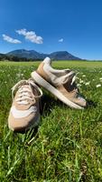 UGG Retrainer Sneaker Schnürschuhe Halbschuhe Schuhe Gr.37 NP€119 Bayern - Rettenberg Vorschau