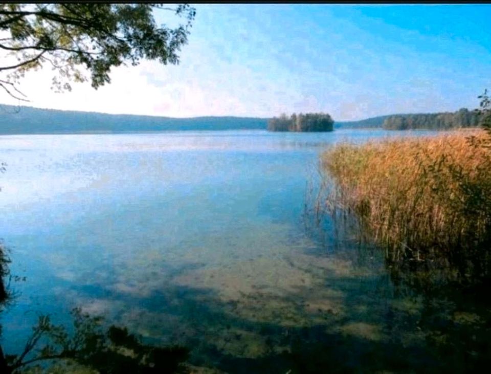 Wochenendgrundstück -Eigentum- ganz nah am Springsee in Berlin