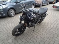 Triumph Trident Schleswig-Holstein - Ellerau  Vorschau