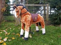 Animal Riding Pferd Typ Amadeus Pony für  Kinder Rollpferd Nordrhein-Westfalen - Rheinbach Vorschau