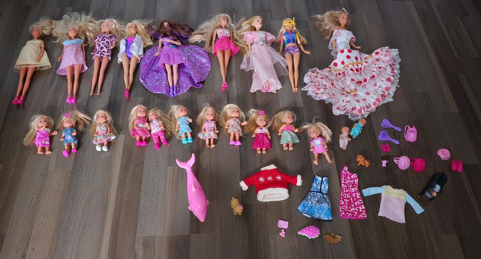 Barbie Packet in Sassenberg