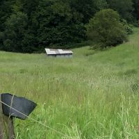 Wiese / Weide / Pferdeweide mit Bachlauf Rheinland-Pfalz - Zillshausen Vorschau