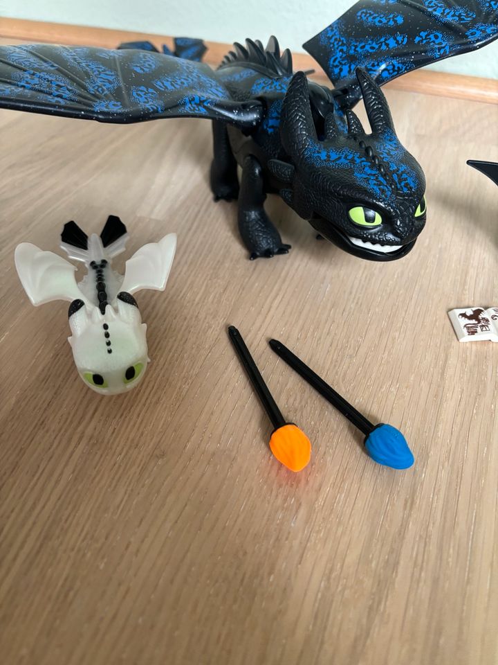 Playmobil Dragons Ohnezahn, Hicks, Babydrache in Rodgau