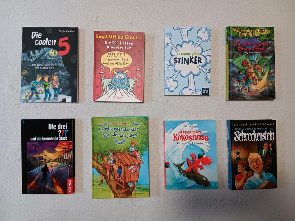 Jugend- Kinderbücher verschiedene Titel in Alpen