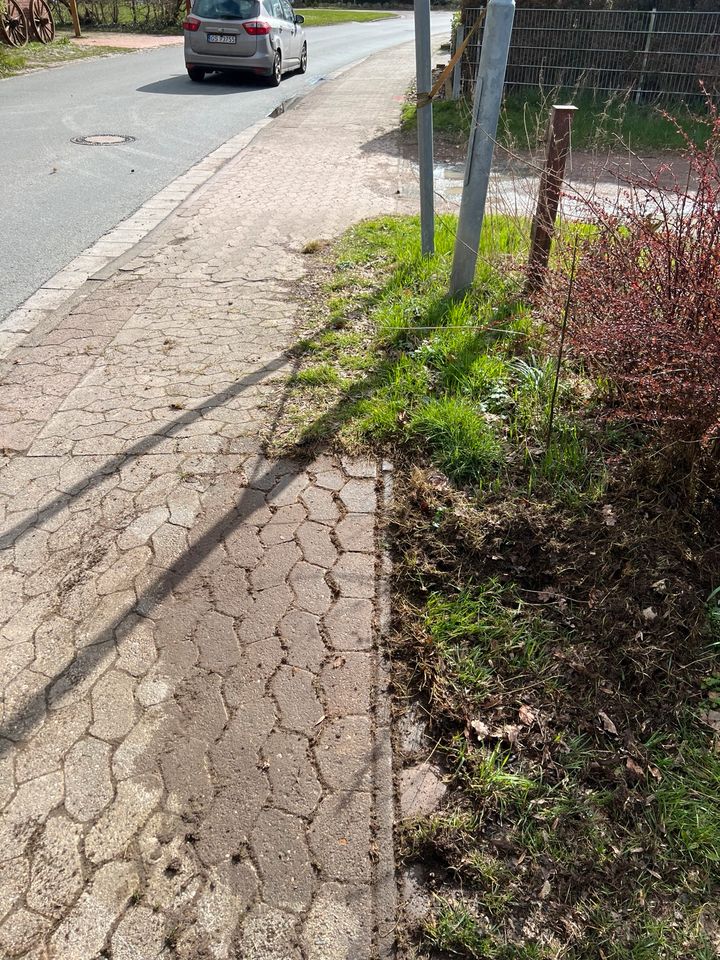 Wildkrautbürste Unkrautbürste zu Vermieten Leihen in Schwanewede