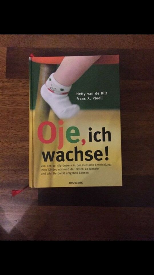 Das Mami Buch von Katja Kessler & Oje, ich wachse in Aachen
