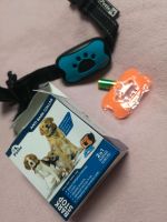 Antibellhalsband Hund Welpe Halsband Erziehung Training Hessen - Gießen Vorschau