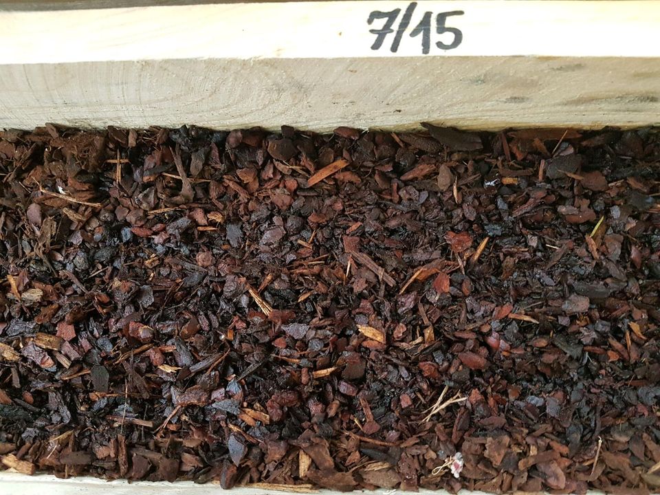 Piniendekor PinienRinde 60l Eifelhum PinienMulch Körnung 28 715 15
