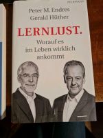 Hüther Endres Lernlust. Wie neu Kr. München - Oberhaching Vorschau