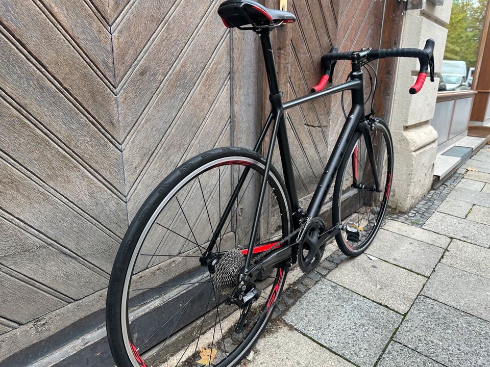 Bulls Rennrad 28“ / 105 / NEUWERTIG in München