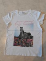 Mädchen T-Shirt Page one young 140/146/152 Neu 3€ Baden-Württemberg - Neufra Hohenzollern Vorschau