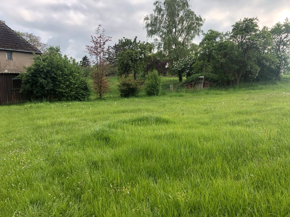 Idyllisches ruhig gelegenes Bauernhaus direkt am Kummerower See in Meesiger