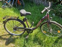 Verkaufe Mädchen Fahrrad 20 Zoll Brandenburg - Biesenthal Vorschau