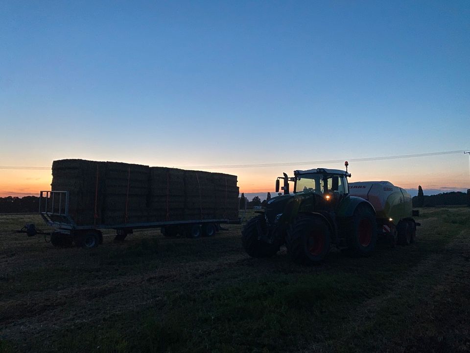 Wir suchen Stroh ab Feld Gerste Weizen Roggen Triticale Hafer in Soest