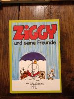 Ziggy und seine Freunde Hessen - Wettenberg Vorschau