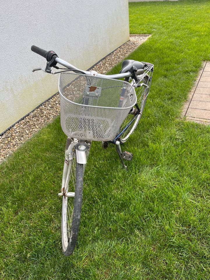 Winora Damenfahrrad 26 Zoll ❤️❤️❤️❗️ in Kleinfischlingen