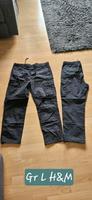 2 Cargohosen Gr. L von  H&M Niedersachsen - Salzgitter Vorschau