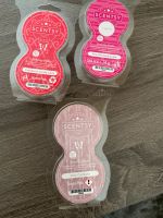 Scentsy Pods neu Bayern - Landshut Vorschau