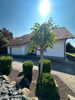 Ihr neues traumhaftes Zuhause - Zweifamilienhaus in schöner Lage von Eiterfeld Hessen - Eiterfeld Vorschau