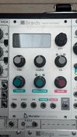 Braids Mutable Instruments Eurorack Module Saarland - Homburg Vorschau