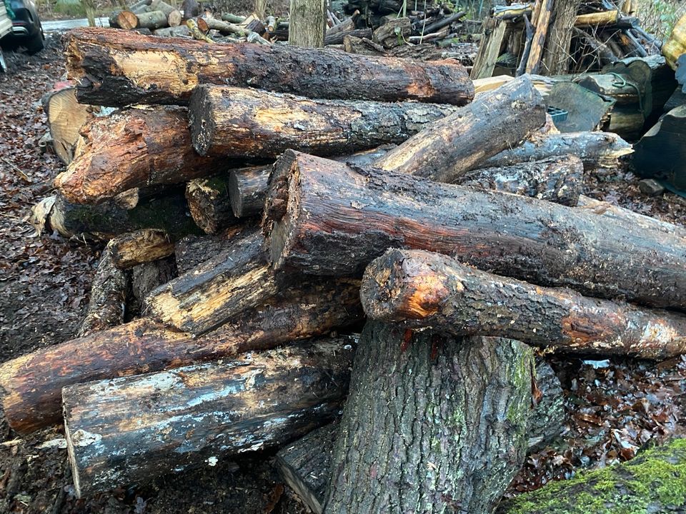 Günstiges Brennholz Laubholz in Norderstedt