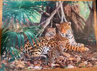 Castorland Puzzle « Jaguars in the jungle » 3000 Bayern - Gröbenzell Vorschau