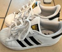 Adidas Superstar Größe 31,5 nur 2-3 mal getragen Nordrhein-Westfalen - Herford Vorschau