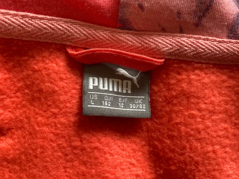 Puma Sweatjacke, Gr. 152 in Bad Dürrheim