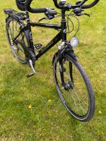 Damen Herren alu Fahrrad Torpedo platinum 28“ Essen - Essen-Kray Vorschau