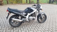 Suzuki GS500e Niedersachsen - Ostercappeln Vorschau