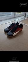 Schuhe puma Gr.44 Nordrhein-Westfalen - Gütersloh Vorschau