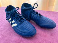 Fußballschuhe Adidas Predator Größe 38,5 Brandenburg - Nordwestuckermark Vorschau