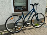 Giant 26 Zoll X-Sport 3.0 Damen-Fahrrad Sachsen - Neusalza-Spremberg Vorschau