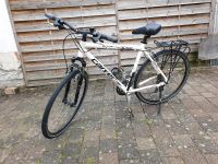 Carver Sonic Street 200 - Trekkingrad - 28 Zoll Nordrhein-Westfalen - Bad Driburg Vorschau