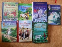 7 Bücher, Pferde, Erstlese, Einhorn, Silberwind Dresden - Neustadt Vorschau