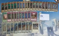 Yu-Gi-Oh! Altergeist Deckcore unter Cardmarket-Preis Bayern - Regensburg Vorschau