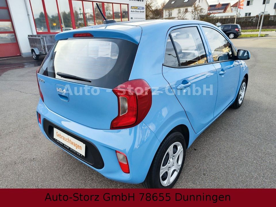 Kia Picanto 1.0DPI Concept/5Türig/Klima/BT/MFL/DB in Dunningen