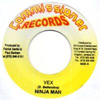 Ninja Man, Mr. G – Vex / Hold Up Dancehall Reggae Single Vinyl Baden-Württemberg - Mannheim Vorschau