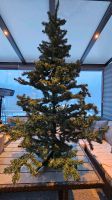 Weihnachtsbaum Saarland - Freisen Vorschau