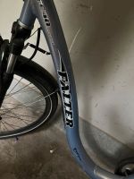 Damenfahrrad  von Falter mit Regenschutz Köln - Nippes Vorschau